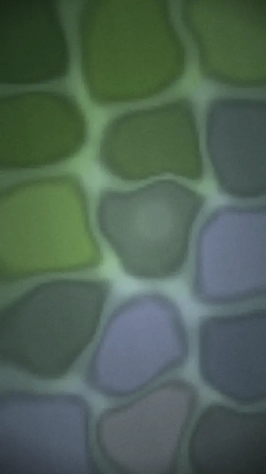 Foam — a vertical 9:16 Spotify Canvas loop rendered by TrackGleam