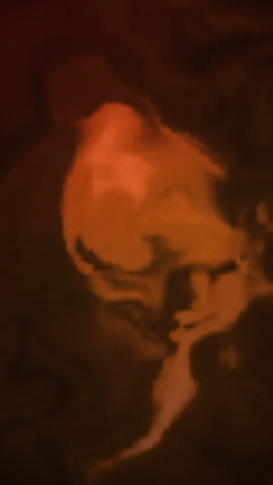 Marbled Smoke — a vertical 9:16 Spotify Canvas loop rendered by TrackGleam